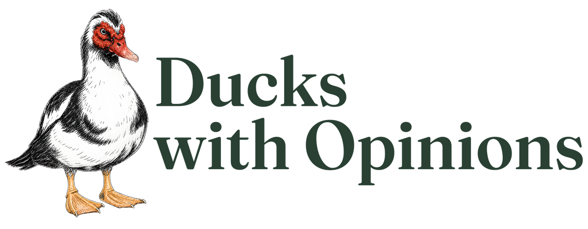 Ducks with Opinions